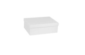 GIFT BOXES WHITE 25x18,5x9cm
